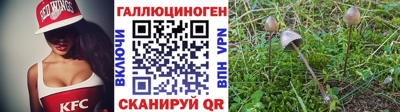 как найти   Чердынь  Псилоцибиновые грибы ЛСД 